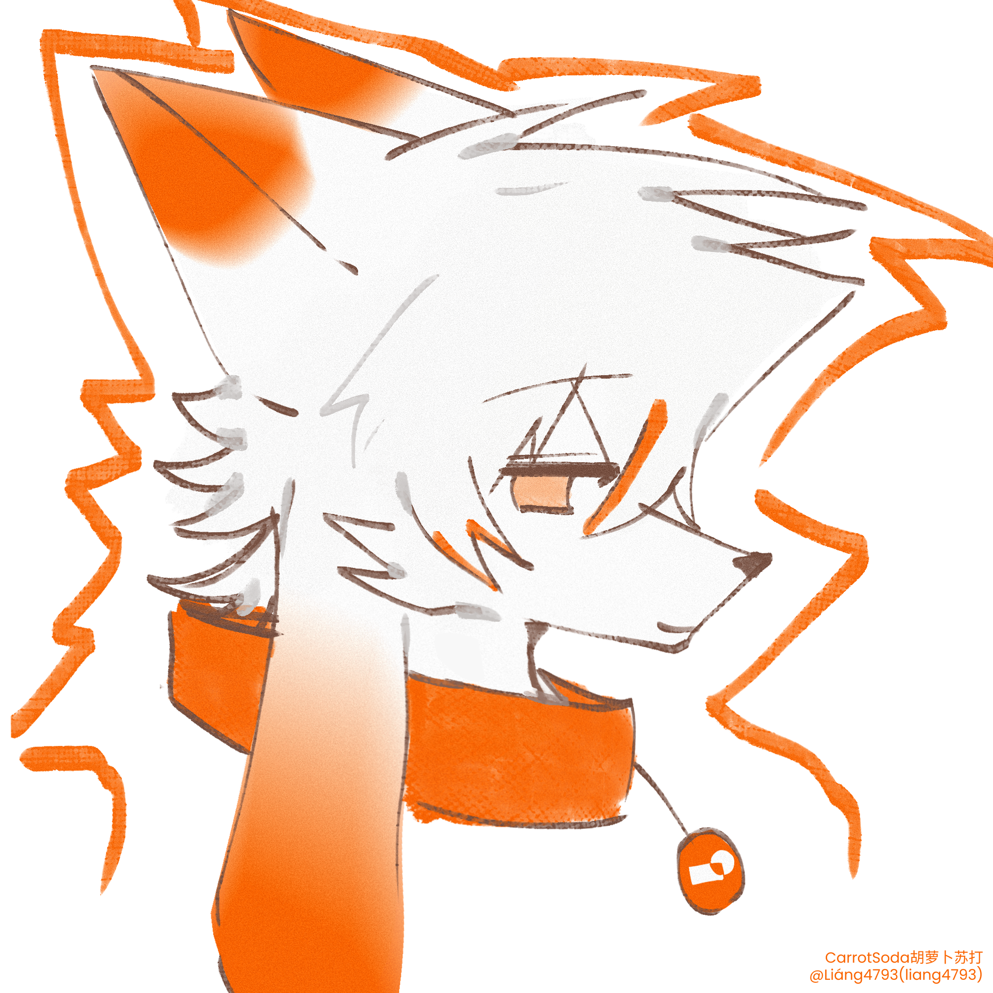 illustration9